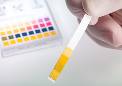 water testing strips